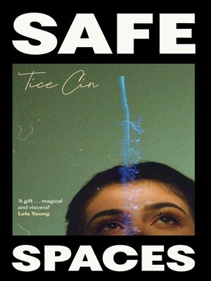 cover image of Safe Spaces